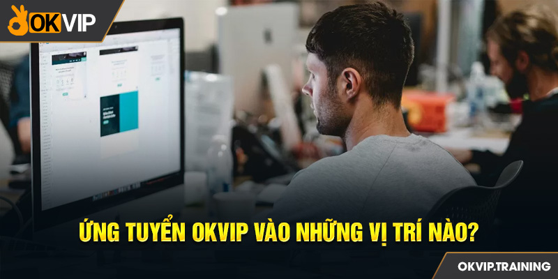 Ứng tuyển OKVIP vào những vị trí nào?